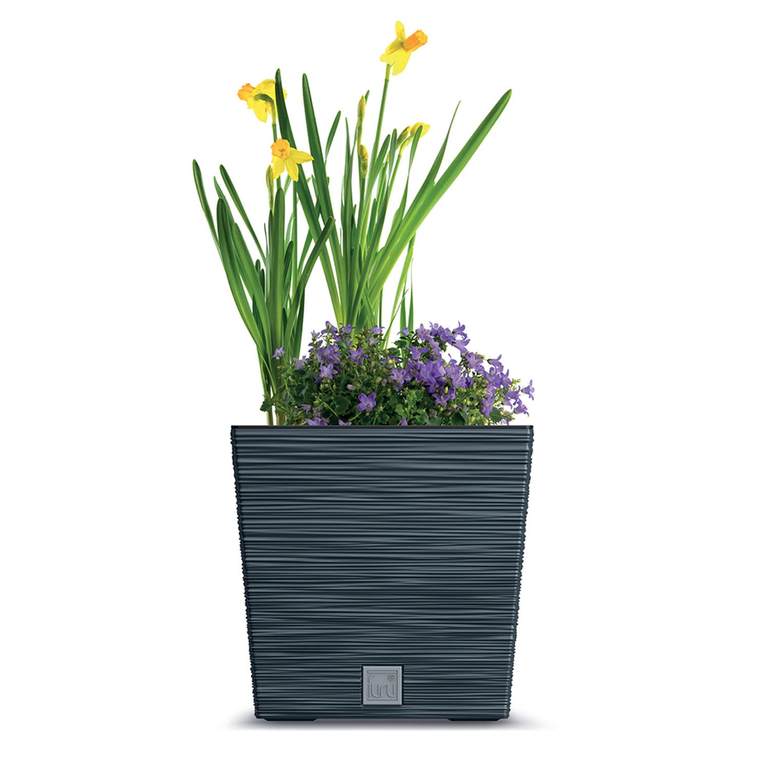 Prosperplast FURU SQUARE LOW DFS300 | antracit 3