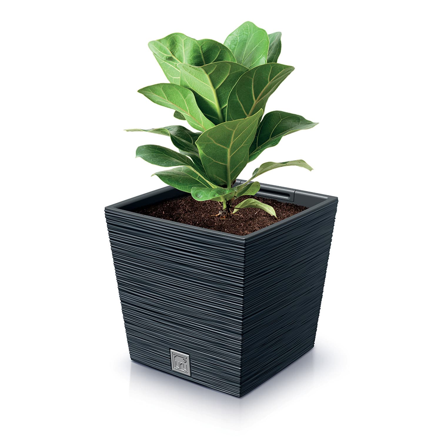 Prosperplast FURU SQUARE LOW DFS300 | antracit 4