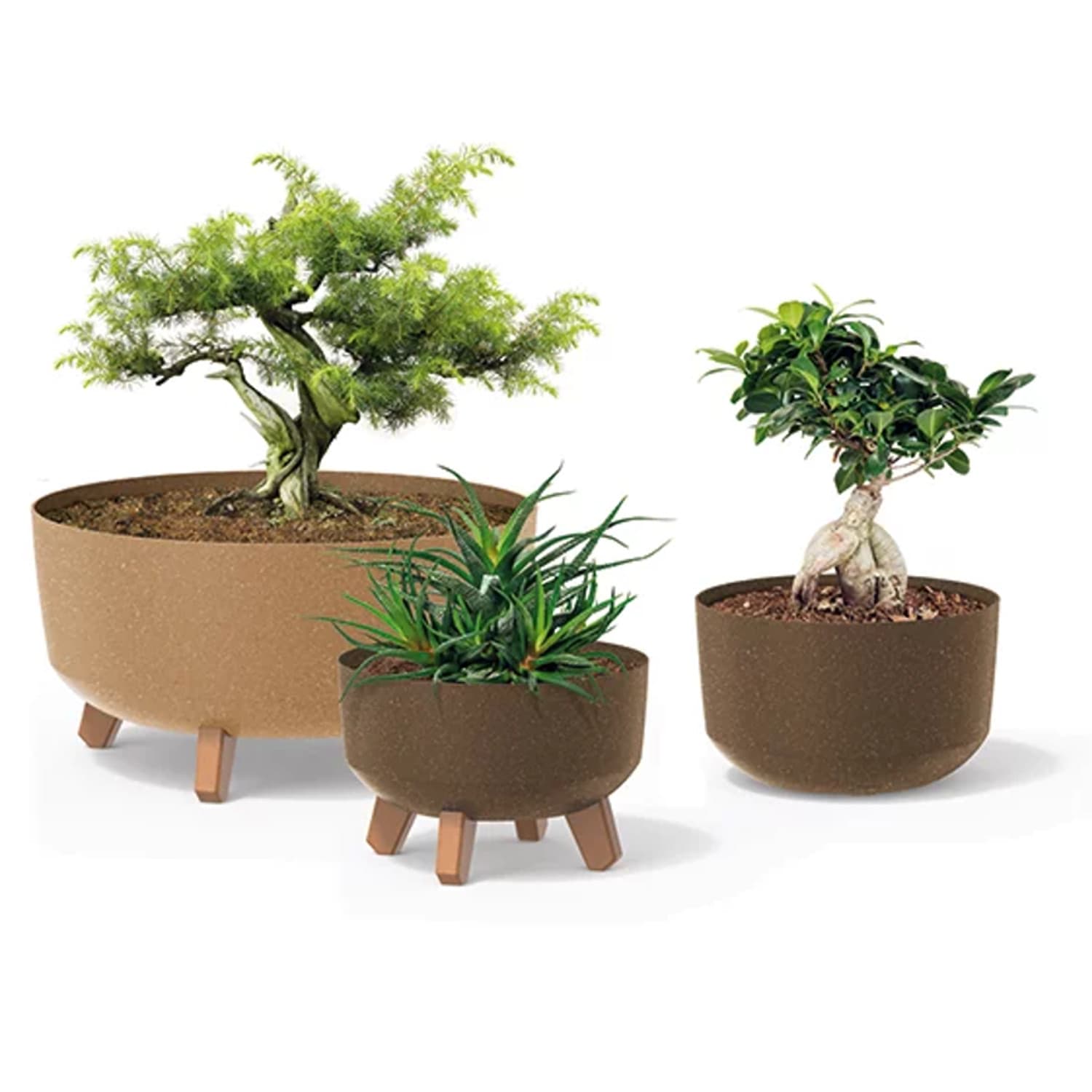 Prosperplast Gracia Eco Wood bela okrogla doniczka, Ø 200 mm 2