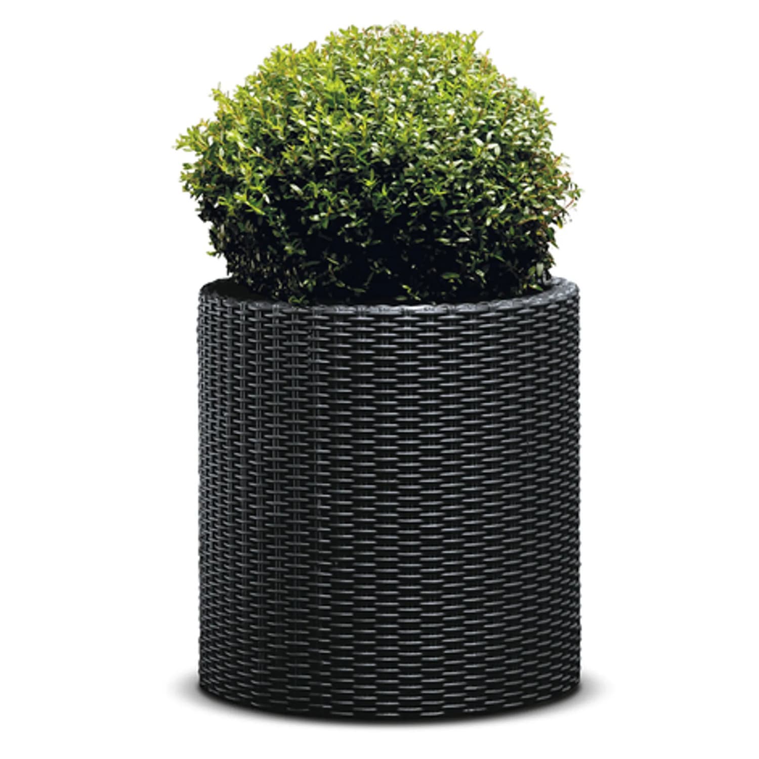 Okrogla cvetlična posoda Keter CYLINDER PLANTER M, antracit 2
