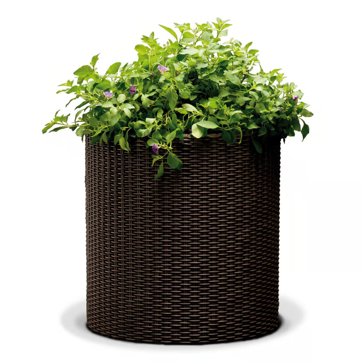 Okrogla cvetlična posoda Keter CYLINDER PLANTER M, whiskey brown 2