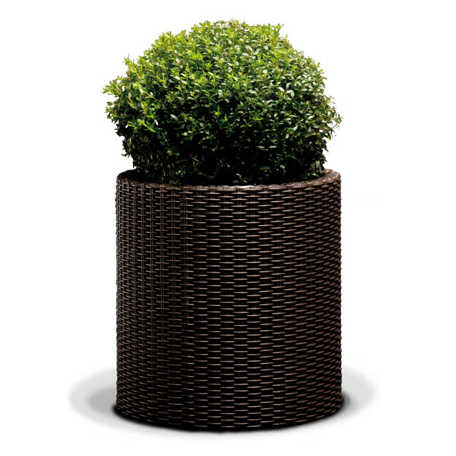 Okrogla cvetlična posoda Keter LARGE CYLINDER PLANTER, whiskey brown 2
