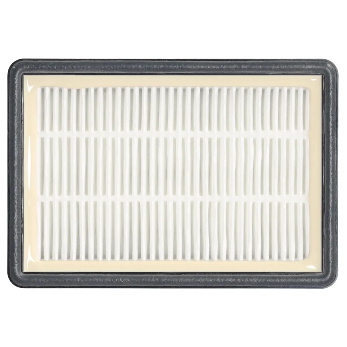 Dedra izpušni HEPA filter za sesalnik ded6604
