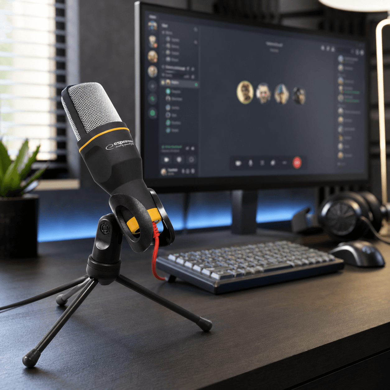Esperanza Studio Pro studijski mikrofon 4