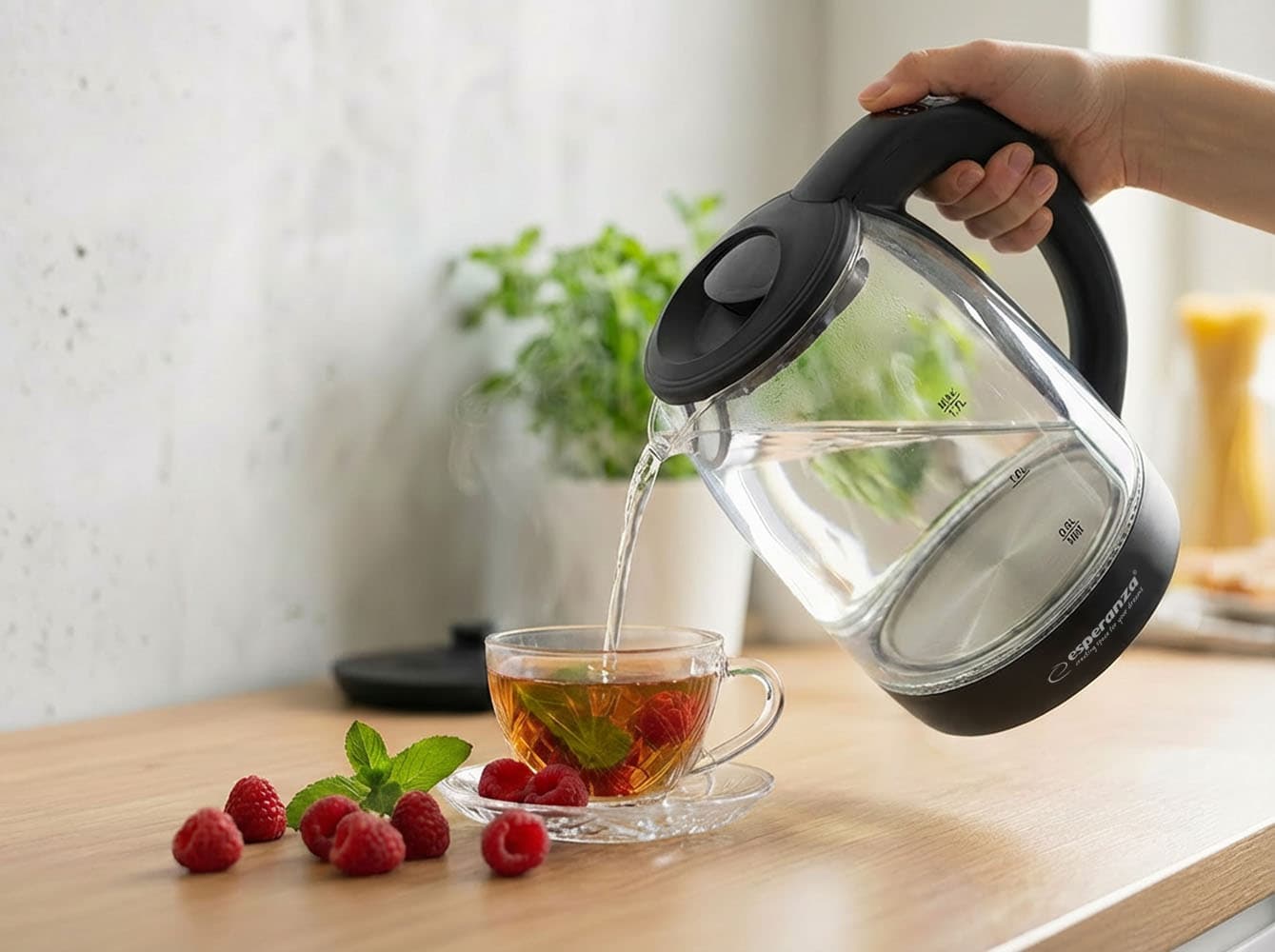 Esperanza LOIRE stekleni kuhinjski aparat z LED in termometrom, 1.7 L 8