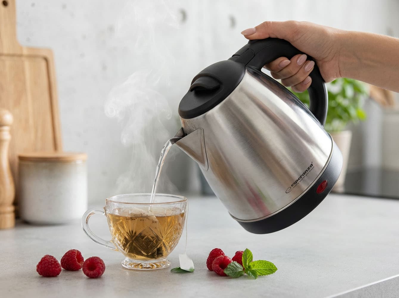 Električni kuhalnik vode Esperanza Spring, 1.0 L, inox 4