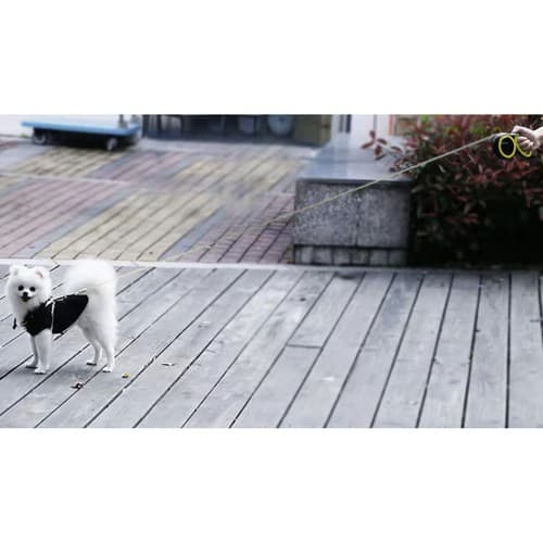 Samodejna povodna vrvica za psa PURLOV 8m / 50kg 8