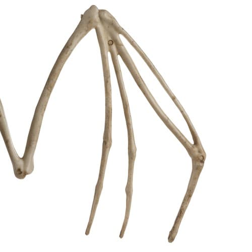 Malatec Skelet netopirja, 30cm Halloween dekoracija 2