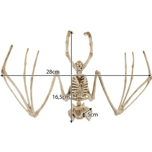 Malatec Skelet netopirja, 30cm Halloween dekoracija 6