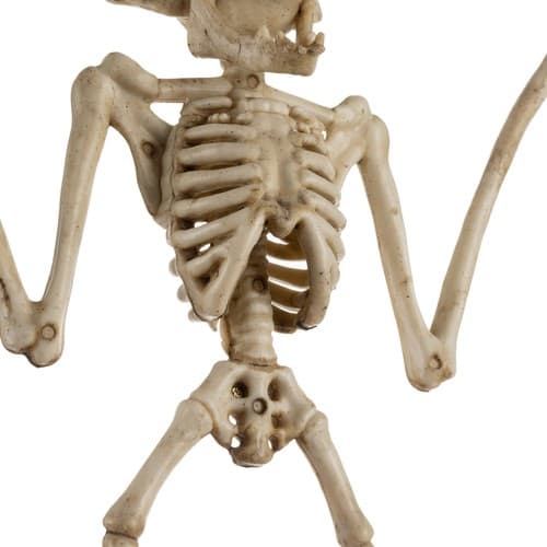 Malatec Skelet netopirja, 30cm Halloween dekoracija 3