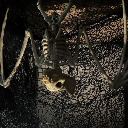 Malatec Skelet netopirja, 30cm Halloween dekoracija 8