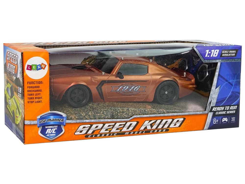Športni avto R/C 1:18, rjav, Champion, pilot 5