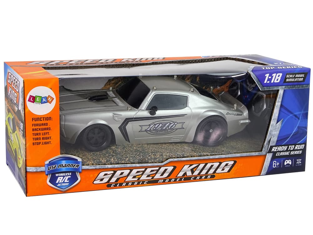 Športni avto R/C 1:18, srebrn, Champion, pilot 6