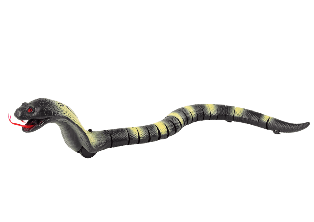 Daljinsko voden kača Kobra, 44 cm (LEAN TOYS) 2