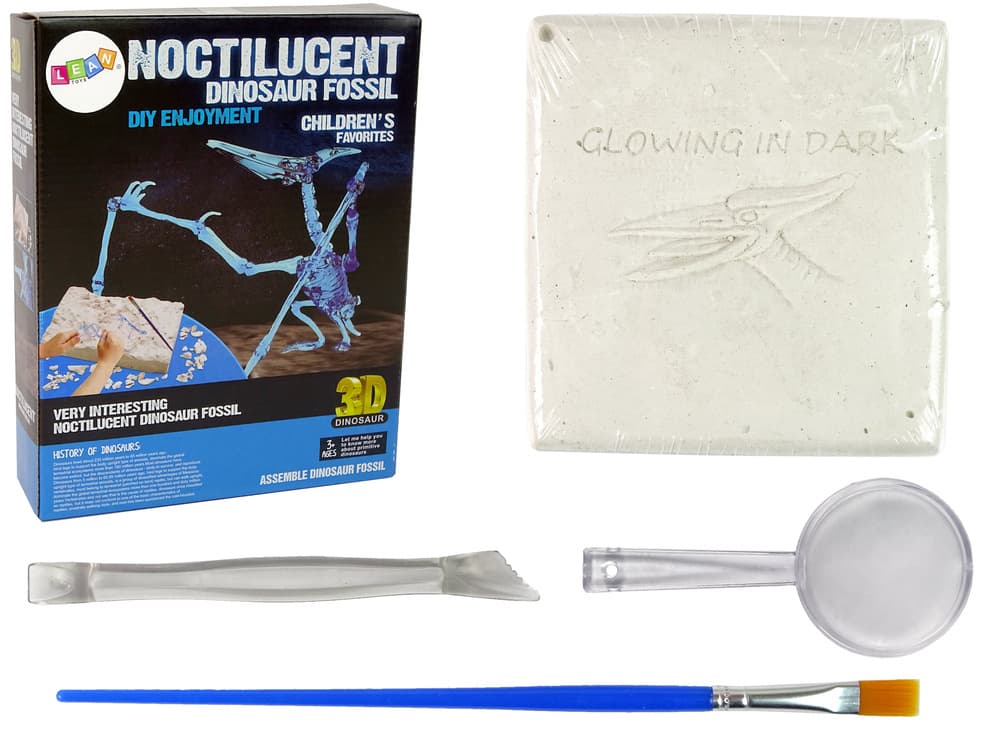 Arheološki komplet LEAN TOYS: Izkopavanje dinozavra Pteranodon z 3D hologramom