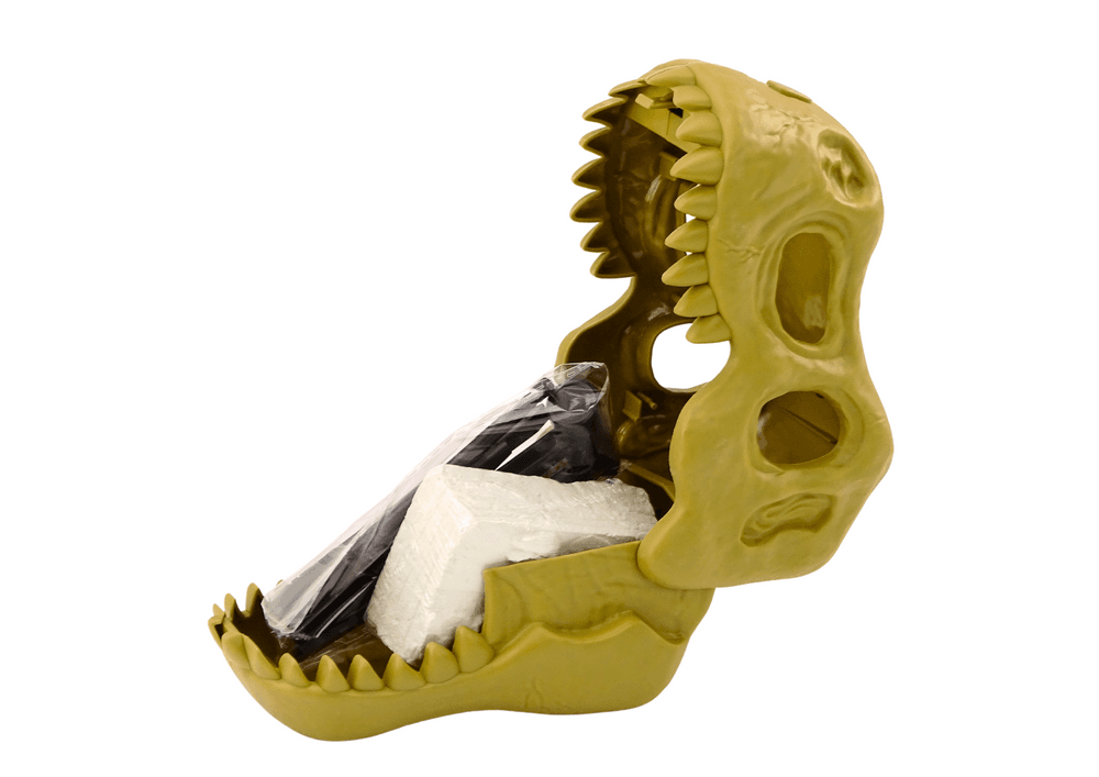Arheološki set za izkopavanje dinozavrovih okostij 3