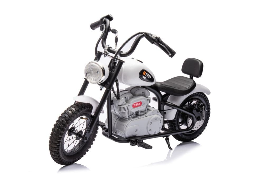 Motor na akumulator LEAN CARS A9902 36V bel 8