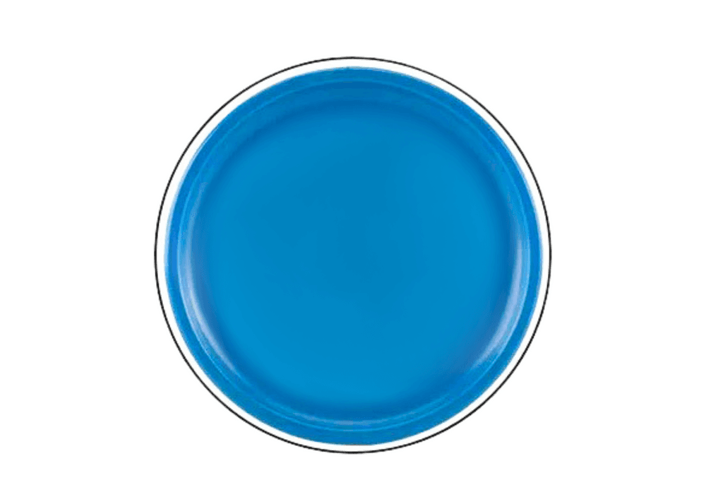 Leteči disk frisbee LEAN TOYS z dinozavrom, modri, 20 cm 3