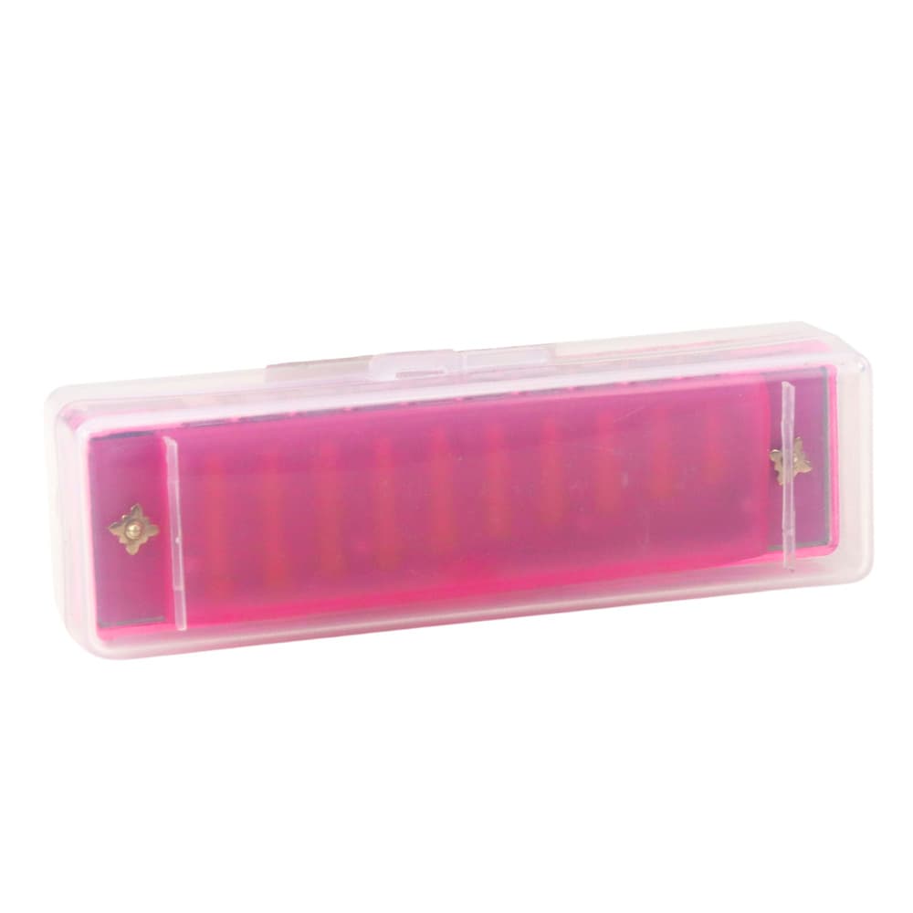 LEAN TOYS Harmonika, 10 lukenj, roza, z etuijem 4