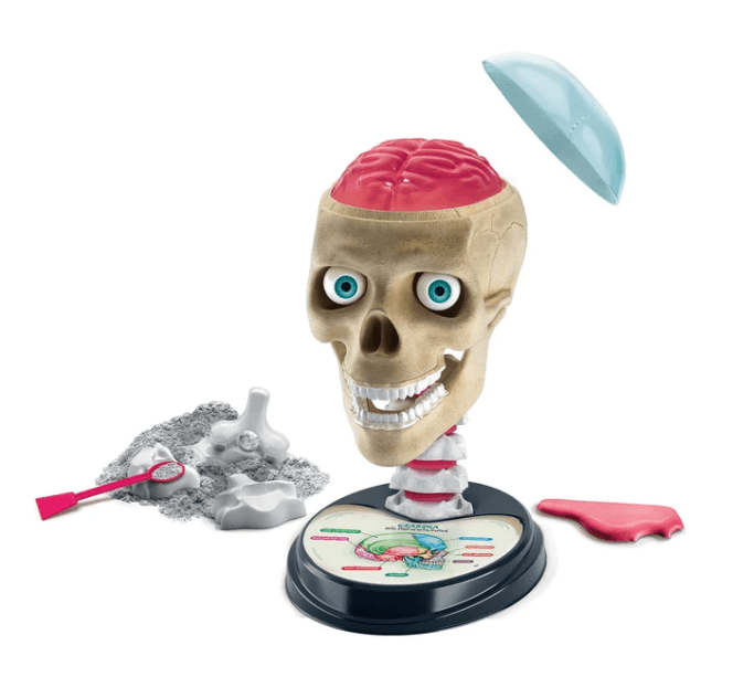 Clementoni 'Zwariowana Anatomia' - znanstveni komplet 2