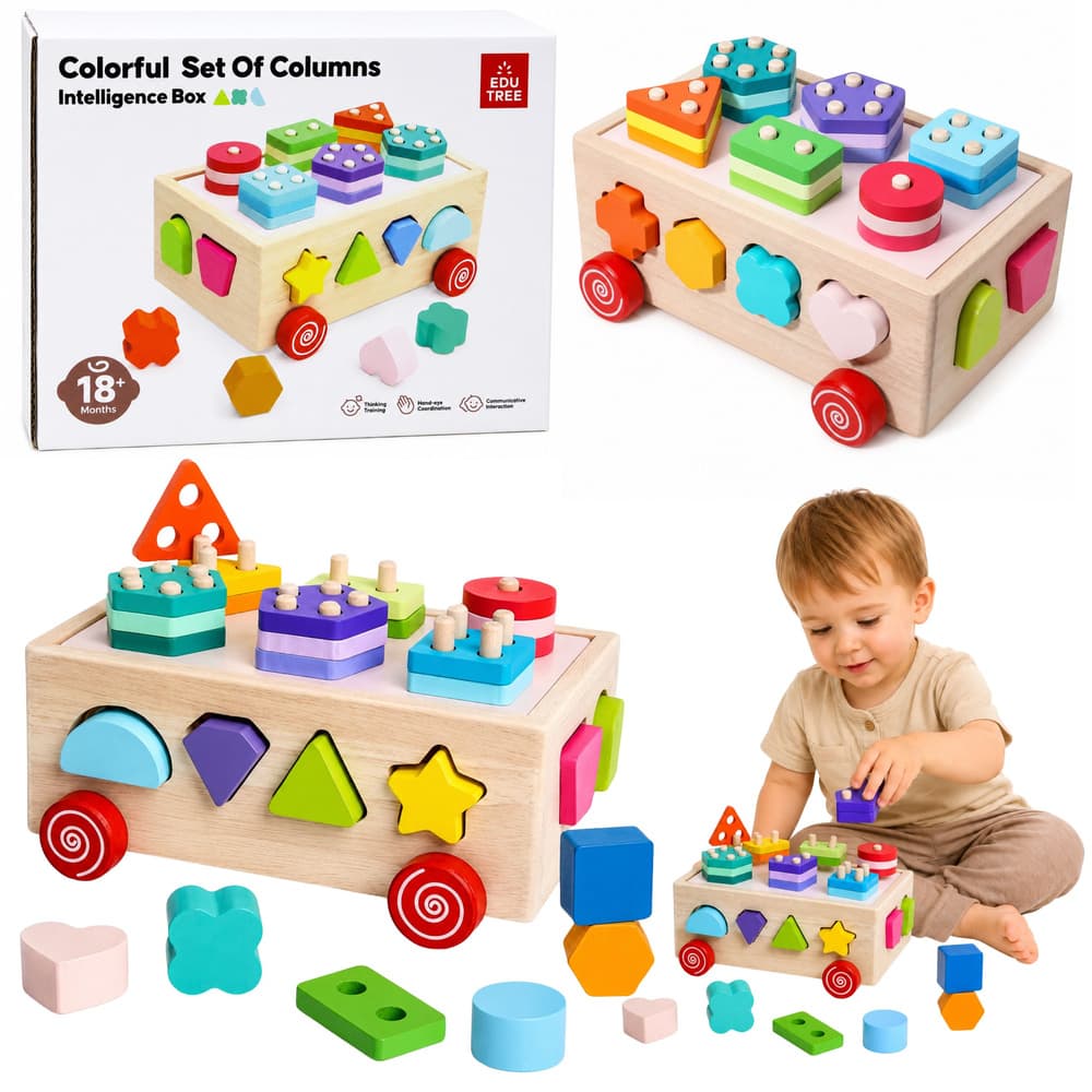 Leseni sortiralnik oblik LEAN TOYS, Montessori, na kolesih, s številkami