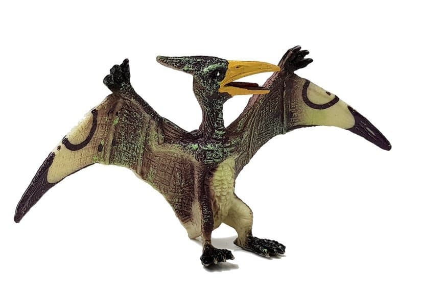Komplet figuric dinozavrov, Stegosaurus, Pteranodon 4