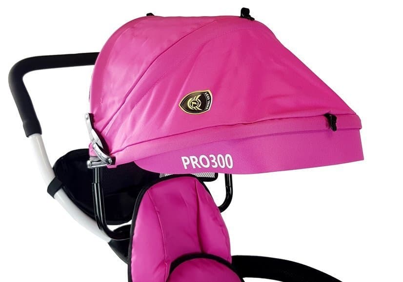 Tricikel LEAN TOYS PRO300, roza 4