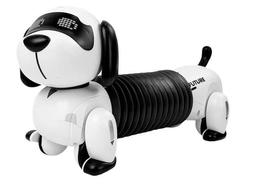 LEAN TOYS Interaktivni robot pes na daljinsko vodenje, glasba, pilot 2