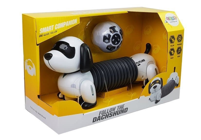 LEAN TOYS Interaktivni robot pes na daljinsko vodenje, glasba, pilot 7