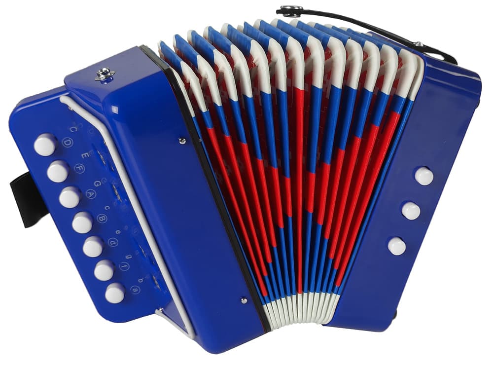 Otroški akordeon LEAN TOYS, moder, glasbeni instrument 3