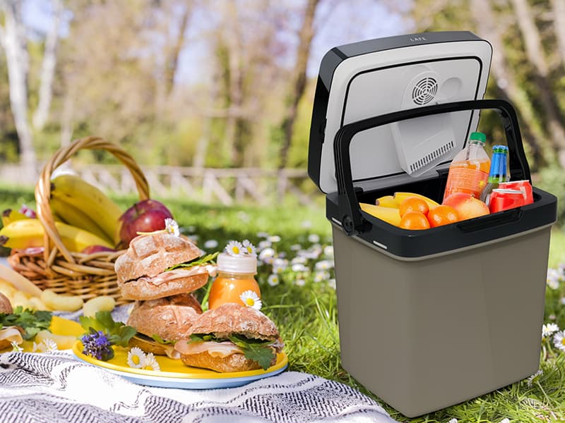 LAFE ChillBox turistični hladilnik, 26L, 12V/230V 7
