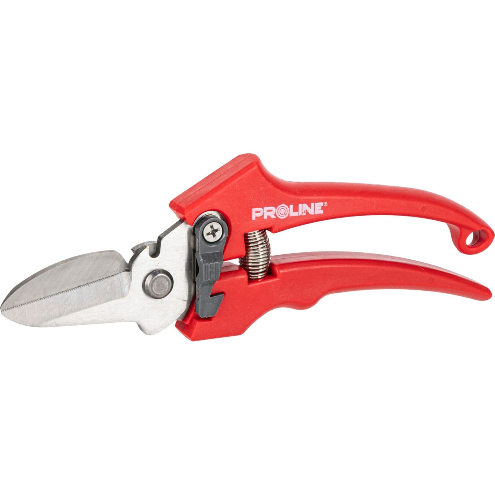 Cvetlični sekator Proline Premium, INOX, 8"