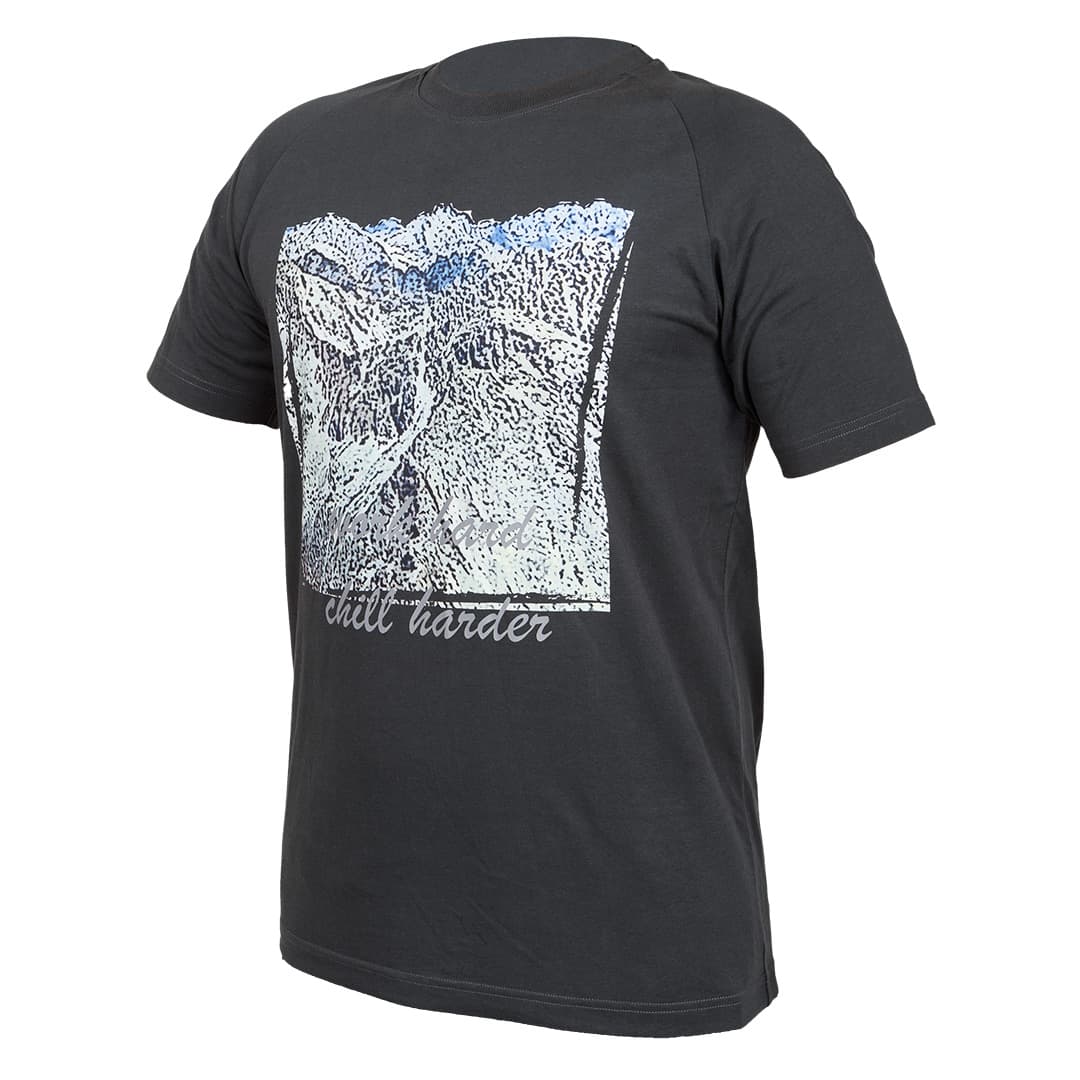 Moška majica kratkih rokavov NEO TOOLS OUTDOOR, Grafika gora, siva, vel XXL